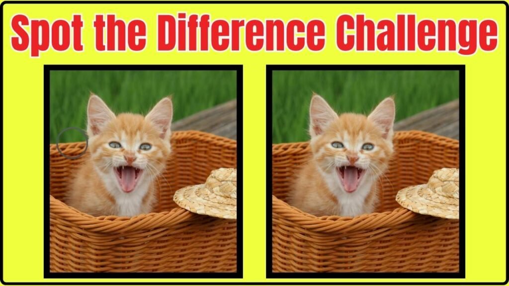 Spot the Difference Challenge
